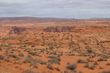 Poster - Landscape of orange sand with shrub plants in a rugged desert near Page, Arizona, USA