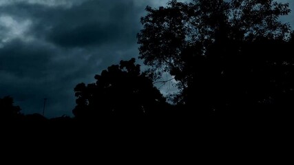 Wall Mural - a scenic shot of moody, rainy, and stormy clouds in the forest