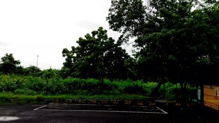 Wall Mural - a scenic shot of moody, rainy, and stormy weather in the park