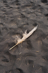 Poster - Vertical shot of the dark sand. The natural environment of a desert in Ecuador.