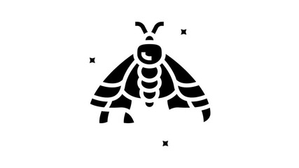 Wall Mural - insect boho animated glyph icon. insect boho sign. isolated on white background
