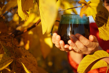 Sticker - hands holding a cup of reishi mushrooms tea, outdoor with yellow leaves around, autumn tea mood