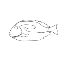 Surgeonfish, Paracanthurus Hepatus Continuous Line Drawing. One Line Art Of Exotic, Tropical Fish, Coral Fish, Seafood.