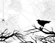 Black Raven Bird, Bare Tree Branches And Spider Web Background - Halloween Theme Vector Copy Space 