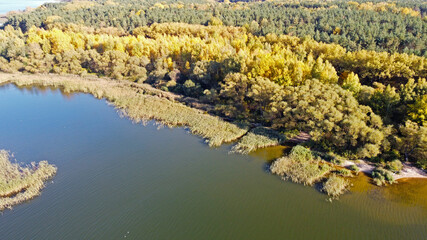 Aerial river coast view with autumn yellow forest