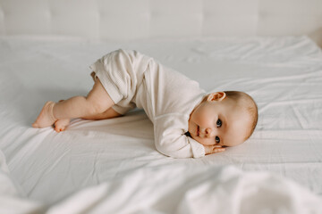 Five months old baby lying on stomach, trying to roll on back.