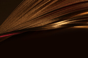 Wall Mural - Abstract backgound. Gold (bronze) wave on dark brown.