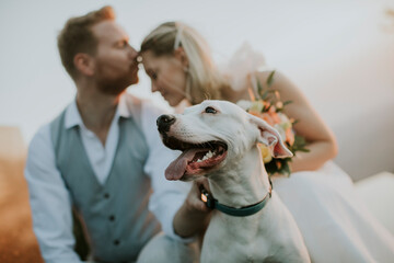 Wall Mural - Young newlywed couple with their Jack Russel Terrier dog