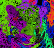 Jaguar sign illustration pop-art background icon with color spots