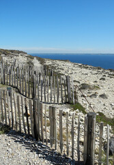 Poster - Küste an der Pointe du Raz, Bretagne