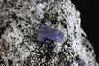 Rough, uncut fancy sapphire from Madagascar, pale lavender hue. Still attached to host rock. 
