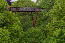 London, UK - Apr 9, 2019 : Structure Of The Treetop Walkway Bridge Through Surrounded By Big Trees At Kew, Royal Botanic Gardens