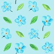 © Ekaterina - Forget-me-not. Pattern. Watercolor botanical illustration included in the collection of wildflowers. Isolated image on a blue background. For your design.