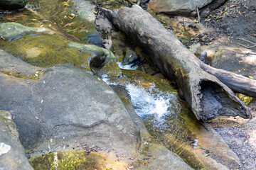 Poster - Water flowing down a waterfall and across rocks in a forest