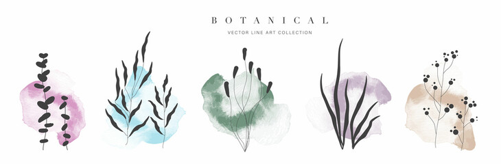 Botanical arts. Hand drawn line drawing of abstract floral and leaves with watercolor background vector.