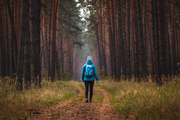 Wall Mural - woman with backpack hiking on footpath in pine forest. autumn trekking and outdoor adventure