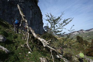 Sticker - Hiking in the mountains