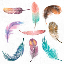 Colorful Feather Element Vector Set