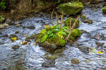 Sticker - Small river in Papuk Park, near Jankovac, Croatia