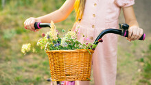 A Bouquet Of Wildflowers In A Basket Attached To A Bicycle. Image With Selective Focus
