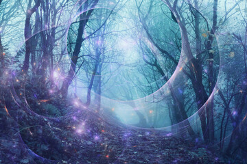 Poster - A fantasy edit of mysterious glowing lights in a spooky forest on a foggy winters day.