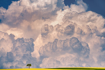 A wonderful thundercloud with lightning in Poland in the Lublin region