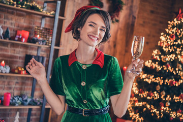 Wall Mural - Photo of shiny sweet young woman dressed green costume smiling celebrating new year drinking champagne indoors room home house