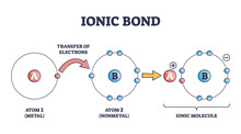 Ionic Bond And Electrostatic Attraction From Chemical Bonding Outline Diagram. Labeled Educational Scheme With Metal Atom Electrons Transfer Steps To Nonmetal And Ionic Molecule Vector Illustration.
