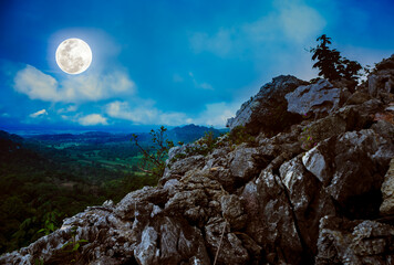 Wall Mural - boulders against sky with beautiful bright full moon above wilderness area in forest. serenity natur
