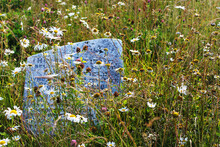 An Old Granite Headstone In A Disused Cemetery, Overgrown By Grass And Wildflowers.