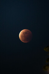 Poster - Full moon on a dark sky at night