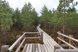 © Raibkashi - wooden bridge in the woods