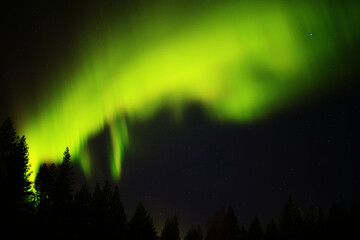 Wall Mural - northern lights behind a fest silhouette in lapland