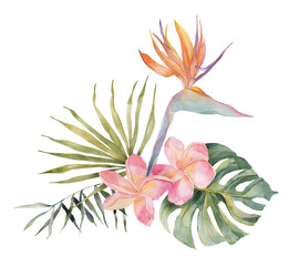 Wall Mural - Strelitzia, plumeria, monstera, palm leaf. Watercolor Hand drawn botanical illustrations composition. Isolated on white background. Summer beach print. For design, textiles, wear.