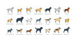 Dog breeds icons set: akita, rottweiler, beagle, domerman. Isolated linear vector illustrations on white background. Filled outline, editable strokes. EPS10