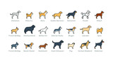 Fototapeta  - Dog breeds icons set: akita, rottweiler, beagle, domerman. Isolated linear vector illustrations on white background. Filled outline, editable strokes. EPS10