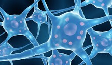 Neural Disease, Neurons With Lewy Bodies In Parkinson's Disease Or Dementia