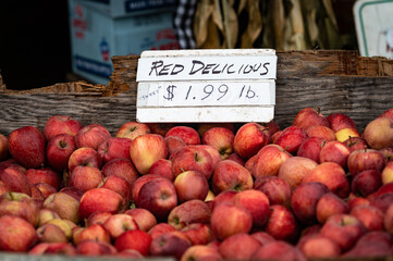 Photo of a red delicious apples for sale sign in a bin with apples at a farm.