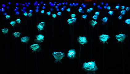 Wall Mural - Night view of the pale blue flower-shaped lights in the plaza