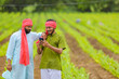 © Niks Ads - Indian farmer using smartphone at green turmeric agriculture field.