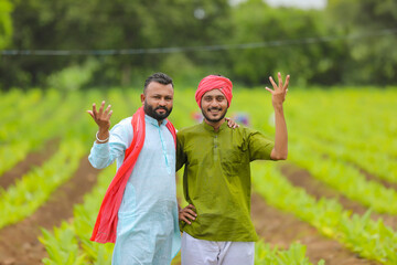 Wall Mural - Young indian farmers at green turmeric agriculture field.