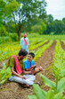 © Niks Ads - Indian farmer using smartphone with his child at green turmeric agriculture field.