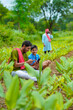 © Niks Ads - Indian farmer using smartphone with his child at green turmeric agriculture field.