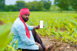 © Niks Ads - Indian farmer showing smartphone screen at green turmeric agriculture field.