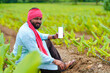 © Niks Ads - Indian farmer showing smartphone screen at green turmeric agriculture field.