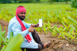 © Niks Ads - Indian farmer showing smartphone screen at green turmeric agriculture field.