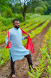 © Niks Ads - Young indian farmer standing at green turmeric agriculture field.