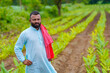 © Niks Ads - Young indian farmer standing at green turmeric agriculture field.