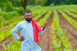 © Niks Ads - Young indian farmer standing at green turmeric agriculture field.