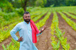 © Niks Ads - Young indian farmer standing at green turmeric agriculture field.